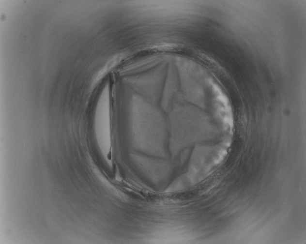 X0000075900734200610151815