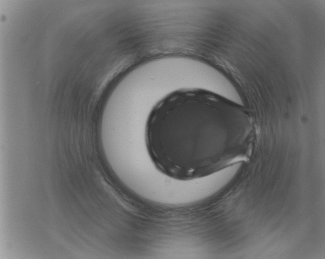 X0000075900735200610151815