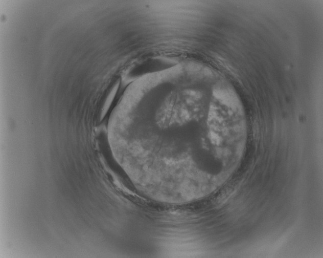 X0000075900737200610151815