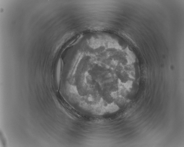 X0000075900738200610151815