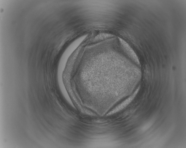 X0000075900739200610151815