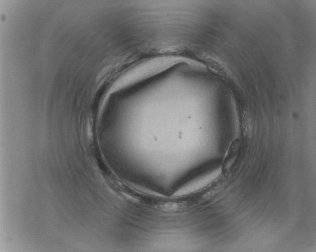 X0000075900740200610151816