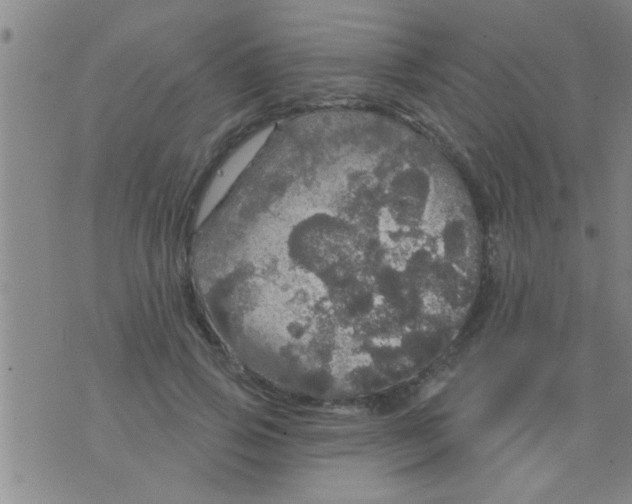 X0000075900741200610151816