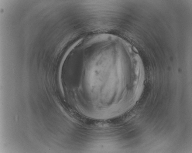 X0000075900742200610151816