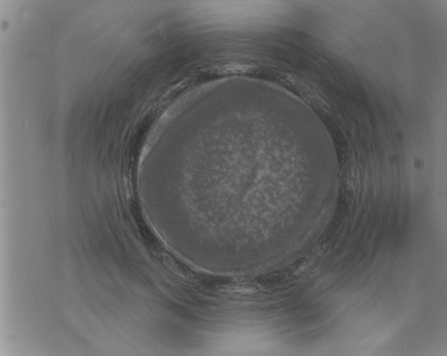 X0000075900743200610151816