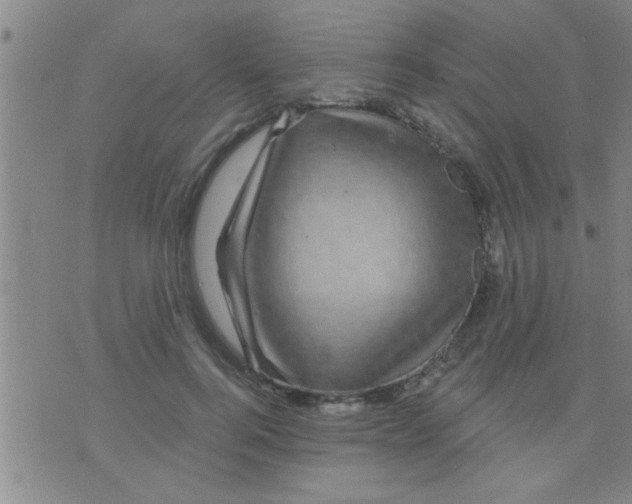 X0000075900744200610151816