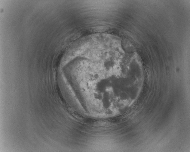 X0000075900745200610151816