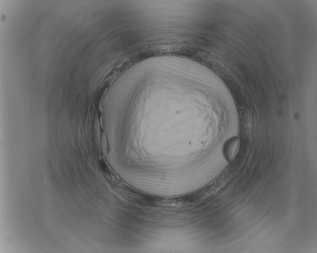 X0000075900746200610151816