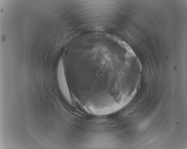 X0000075900747200610151816