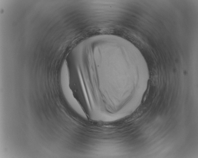 X0000075900748200610151816