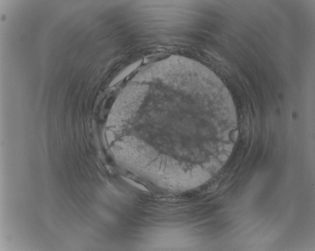 X0000075900749200610151816