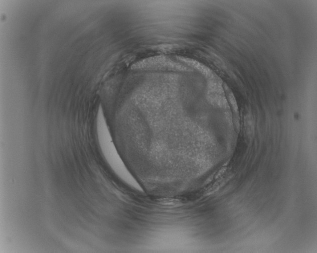 X0000075900750200610151816