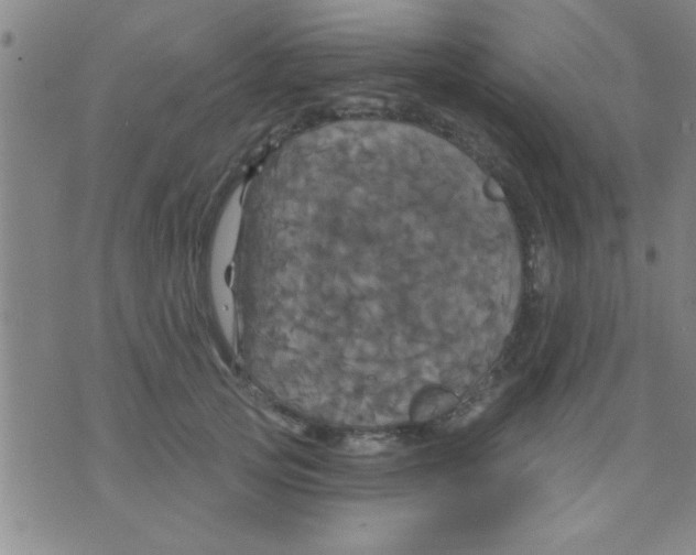 X0000075900753200610151816