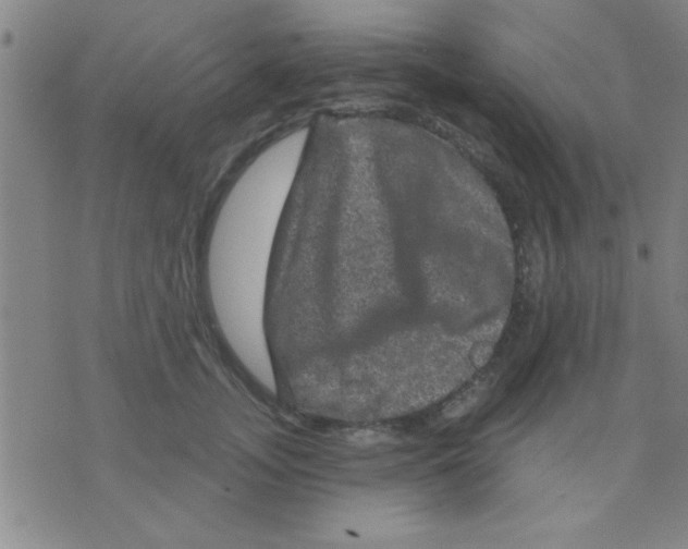 X0000075900755200610151816