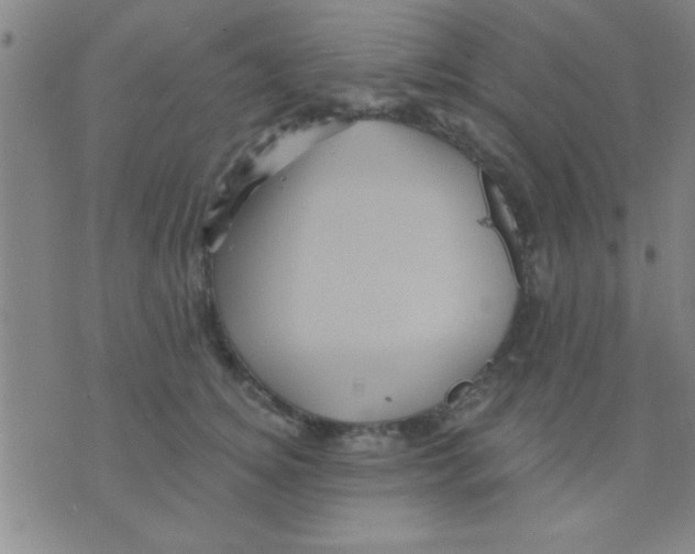 X0000075900756200610151816