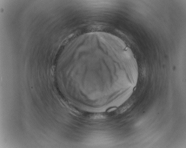 X0000075900759200610151816