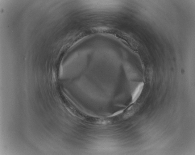 X0000075900760200610151816