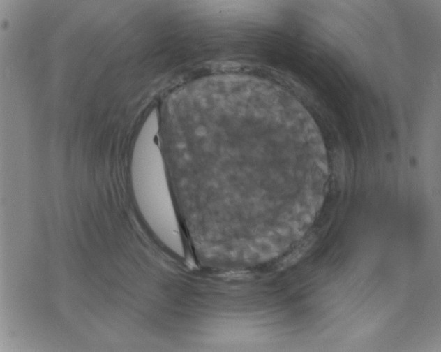 X0000075900761200610151816