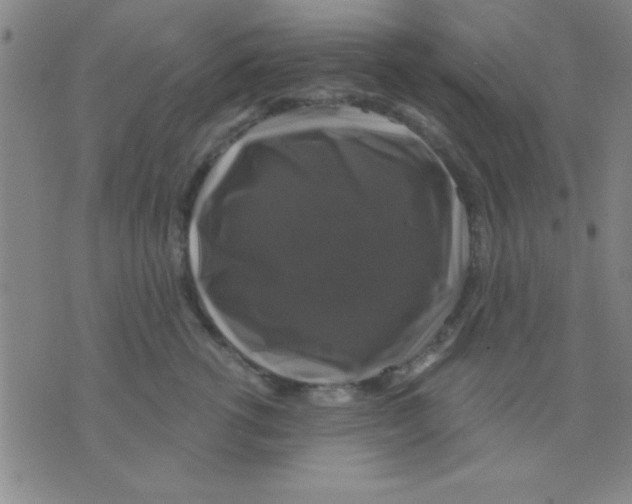 X0000075900762200610151816