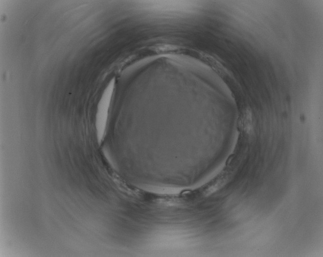 X0000075900763200610151816