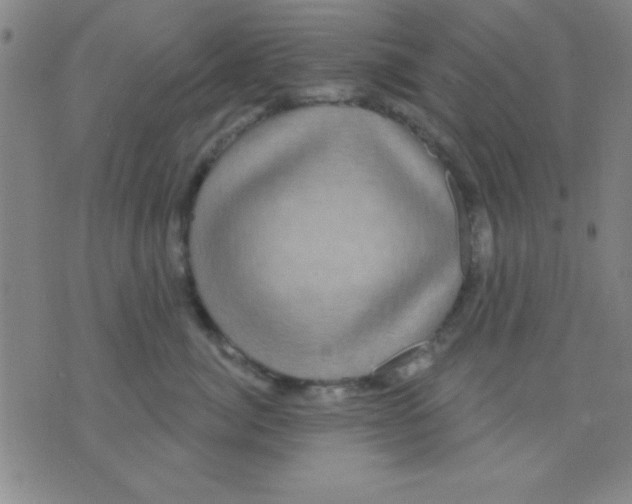 X0000075900764200610151816