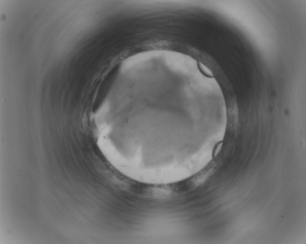 X0000075900765200610151816