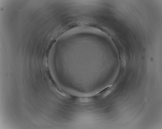 X0000075900766200610151816