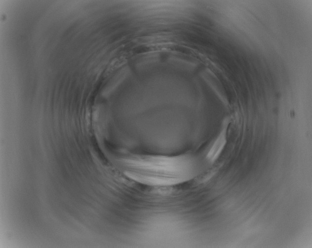 X0000075900767200610151816