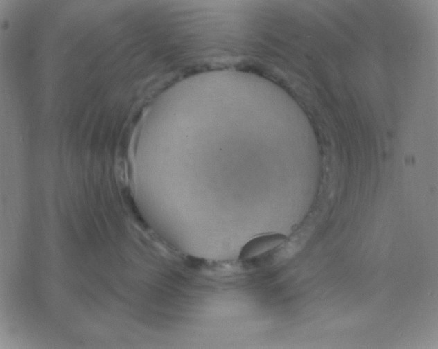 X0000075900768200610151816