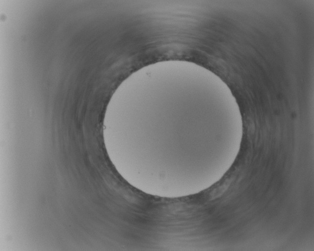 X0000075900769200610151815