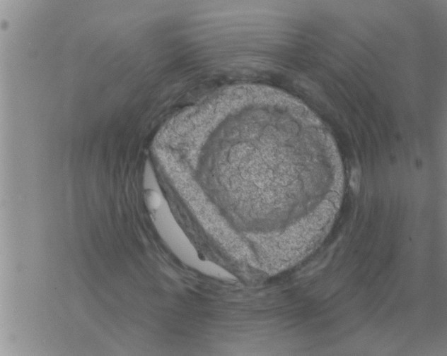 X0000075900771200610151815