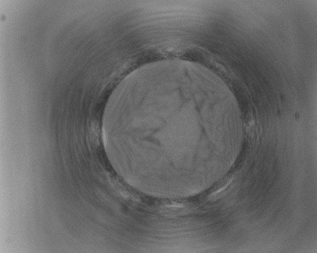 X0000075900772200610151815