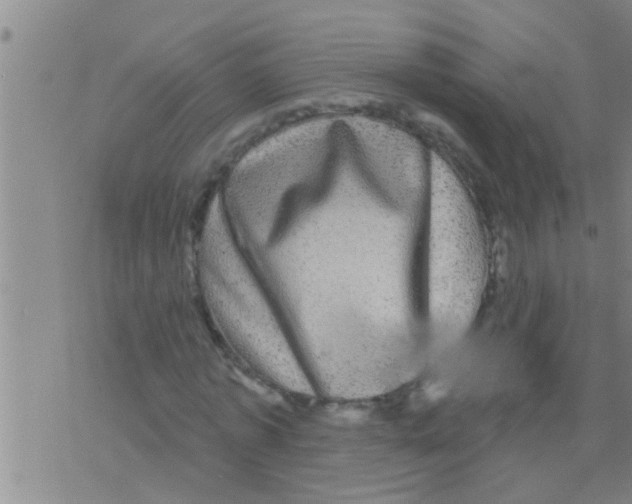 X0000075900773200610151815