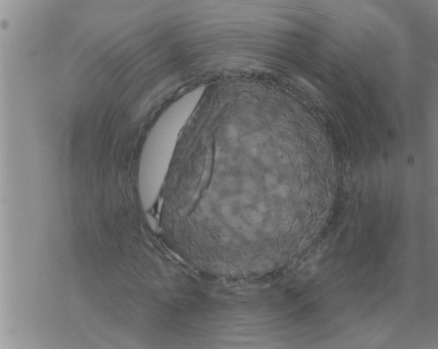 X0000075900774200610151815