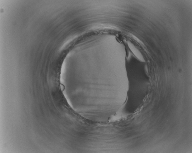 X0000075900775200610151815