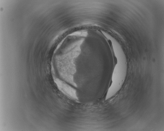 X0000075900776200610151815