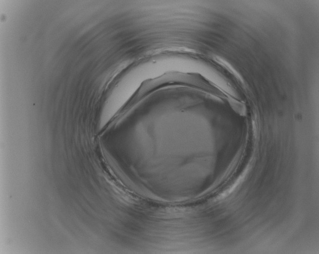 X0000075900777200610151815