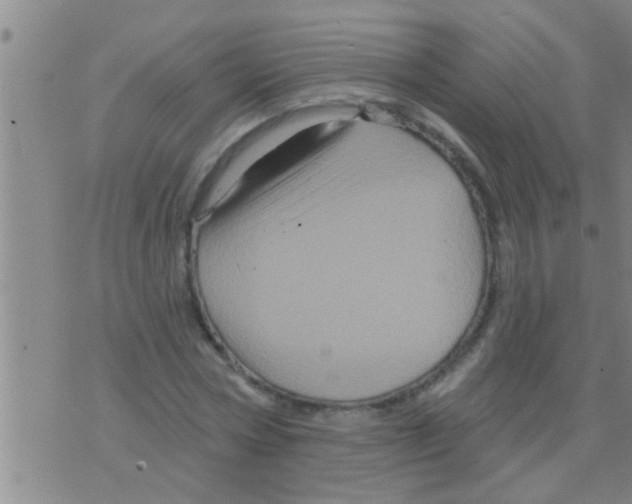 X0000075900778200610151815