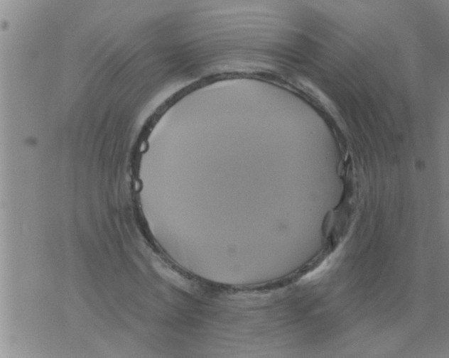 X0000075900779200610151815