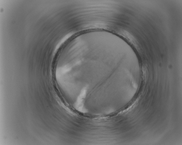 X0000075900780200610151815