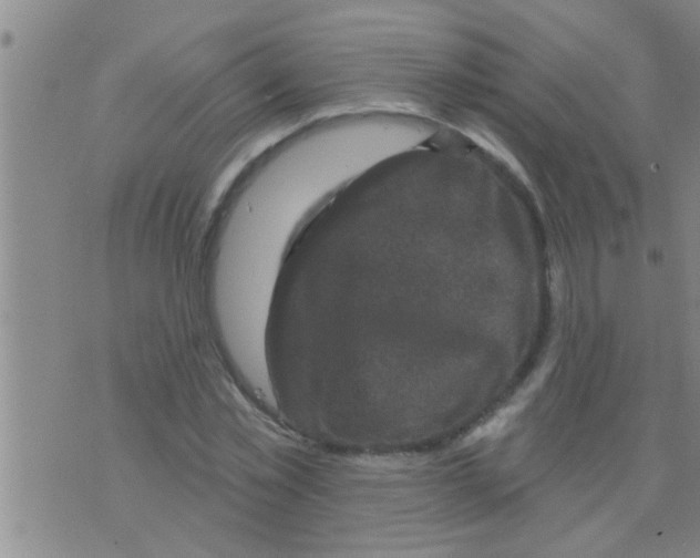 X0000075900781200610151815