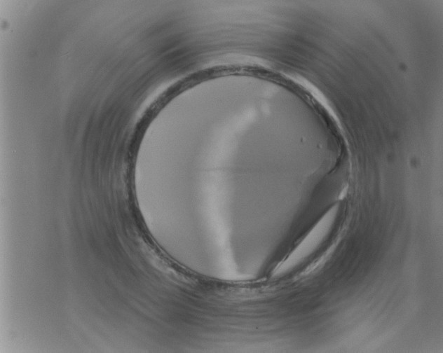 X0000075900783200610151815