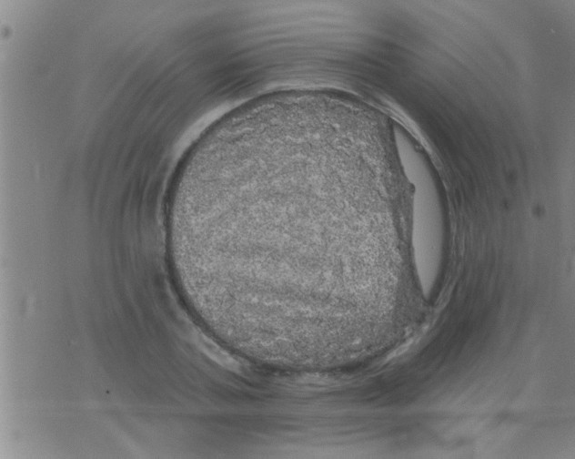 X0000075900787200610151815