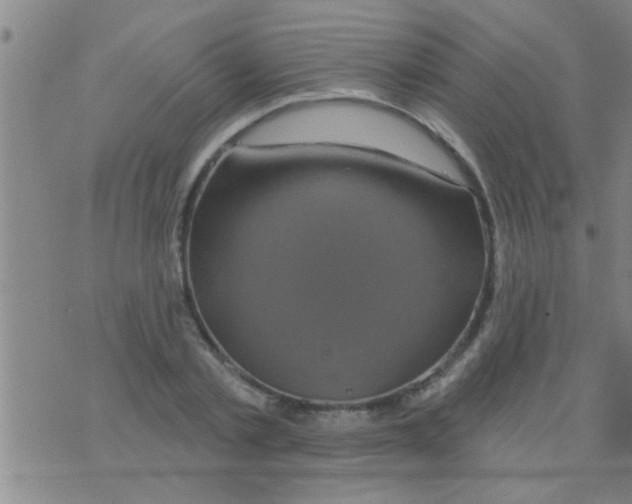 X0000075900789200610151815