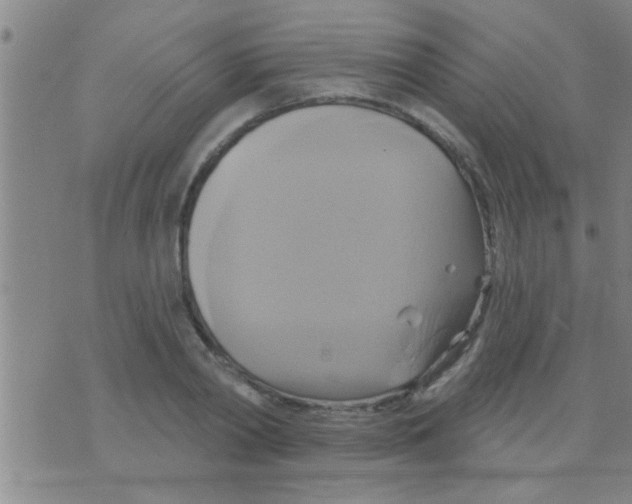 X0000075900790200610151815