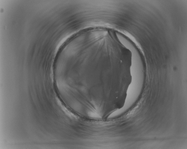 X0000075900791200610151815