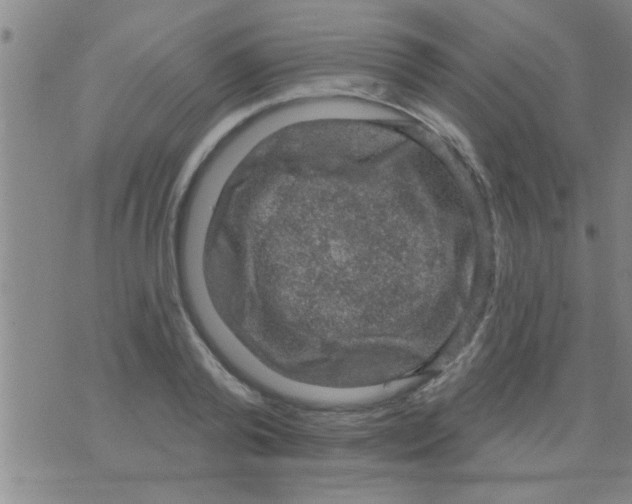 X0000075900792200610151815