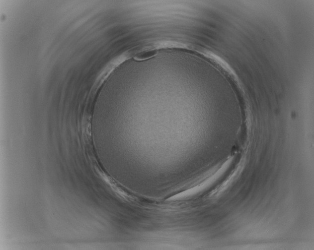 X0000075900793200610151815