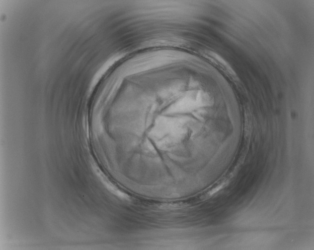 X0000075900796200610151815