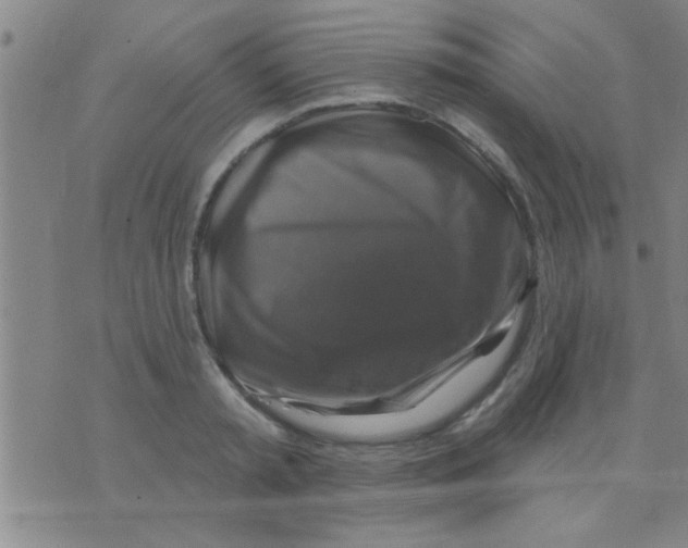 X0000075900797200610151815